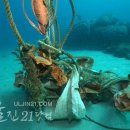 죽변가스 이미지