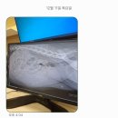 방주동물병원(출장전문) | 비숑프리제교배 출장부터 출산까지 자세히!