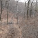 초롱초등학교 앞 횡단보도 이미지