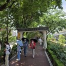 도반 | 2026년 5월 서울 자탐 모임 후기_장미보다 아름다운 도반님들과 함께
