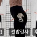 타이디앤 이미지