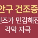 세이안경콘텍트 이미지