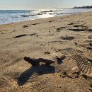 아침바다 콘도텔 이미지