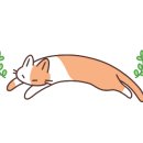 다이소 부평시장역점 이미지