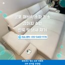 삼성고압가스 | 군포 패브릭 소파 청소 강아지 소변 얼룩 및 냄새 제거 후기 삼성마을 2단지 아파트