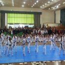 이루리태권도장 이미지