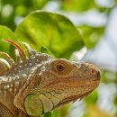 본앤머슬 이미지