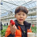 천마태권도장 이미지