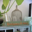 데이지플라워샵 이미지