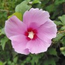 우이천 산책로 이미지