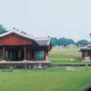 천하명당 Daum카페