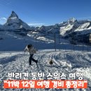 호텔99프레스티지 | 반려견 동반 스위스 여행 11박 12일 경비 총정리 비용줄이는방법
