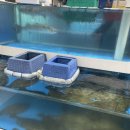 신곡우체국 이미지