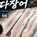 장어통발수산