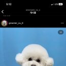 댕댕이이발관 이미지