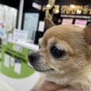 김천연합동물병원 이미지