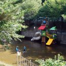 남이자연휴양림 이미지