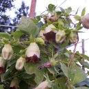 사계절농장 이미지