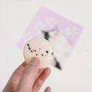 엘트라바이 이미지