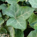 노리울지역아동센터 이미지