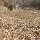 이원택농장 이미지