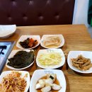 애견명가 이미지