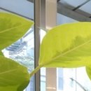 개포삼성정형외과의원 이미지