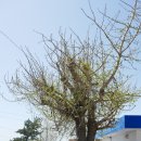 덕리 마을회관 이미지