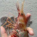 태연8289 풀 리조트 네이버블로그