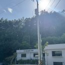 8번째캠핑. 경기도 가평 <캠프네버랜드> B5 + 애견동반 후기