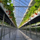 동선농장 이미지