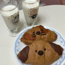 큐티퍼피 | &lt;01&gt; 용산 맛집 모아모아 I 해피퍼피하우스, 도토리, 포카치아델라스트라다, 쇼니노