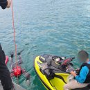 삼척해수욕장 이미지