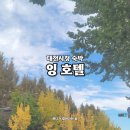 아이엔지 모텔 | 대전시청 인근 모텔 2성급 호텔 ing 숙박 깔끔한 1인 후기