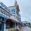 모녀가리비 이미지