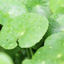 노일바이오 이미지