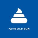 퍼펙트바이트 | 힐스 강아지사료 어덜트 7+ 퍼펙트 다이제스천 스몰 바이트 1.6kg 솔직 후기