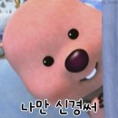 일산애견스쿨 이미지