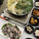 동백초장 | 홍성 남당항 새조개축제 | 동백회수산 새조개정식 내돈내산 후기