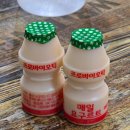 칼국수명가 | [인천 간석역맛집] 들깨닭칼국수 고소함 미쳤다..! 명가 닭칼도리 솔직후기🍲