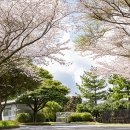 엑스골프 이미지