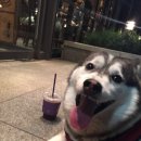 책읽는 픽토그램 이미지