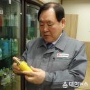 (주)신광엠앤피 대한뉴스