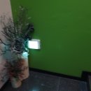 제주하도바당 이미지