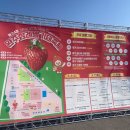 월등면행정복지센터공중화장실 | [완주 삼례 딸기대축제] 사람 많고 볼거리도 많던 2026 삼례 딸기축제 3/7 토요일 방문 후기 주차정보 등