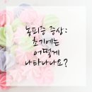 삼정동물병원 | 해운대동물병원 고양이 피부 문제 알아보기!