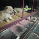 통일동물병원 이미지