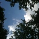 살랑 그루밍 이미지