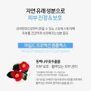 파머손 이미지