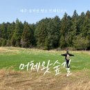 소룡수산 | 제주 서귀포 숨은명소 머체왓숲길 소롱콧길 걷기